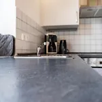 Kleiner Leuchtturm - Steuerbord Tatil Evi